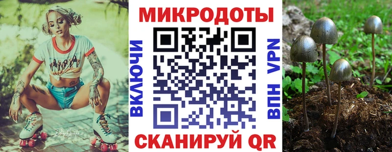 Галлюциногенные грибы ЛСД  Купить закладки  Чёрмоз 